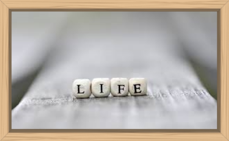 f:id:shiho196123:20190709142802j:plain