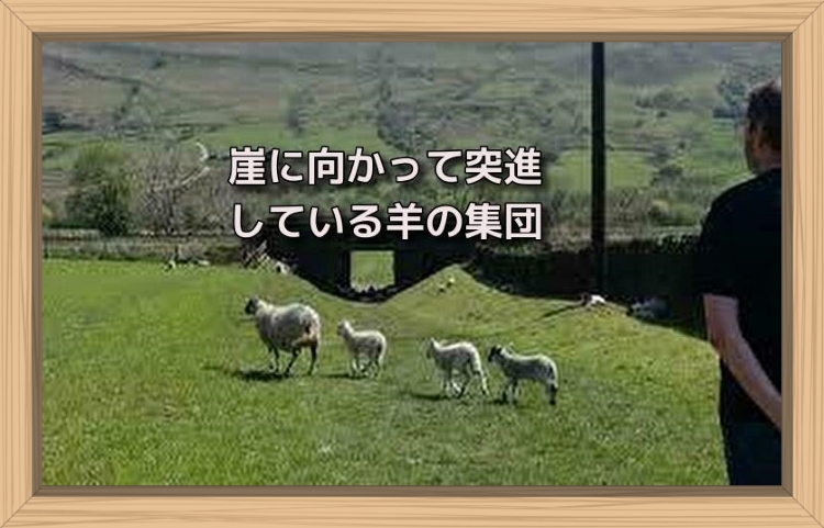 f:id:shiho196123:20190710224202j:plain f:id:shiho196123:20190710224202j:plain