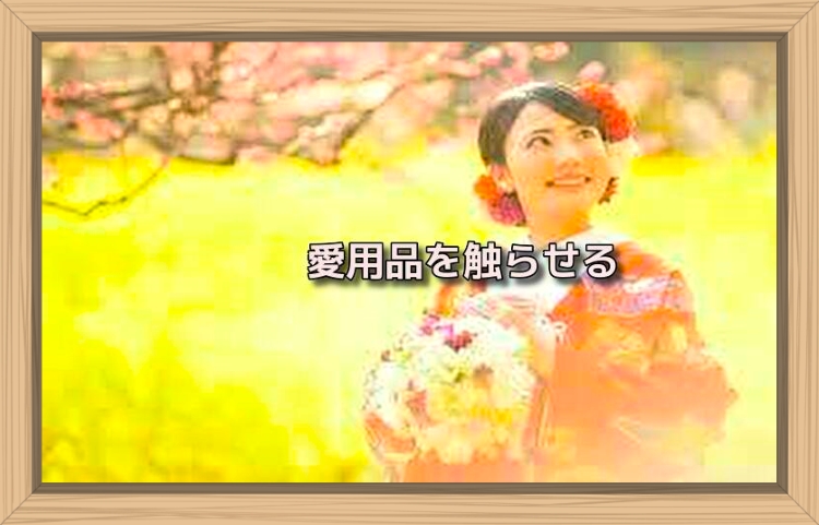 f:id:shiho196123:20190711133842j:plain