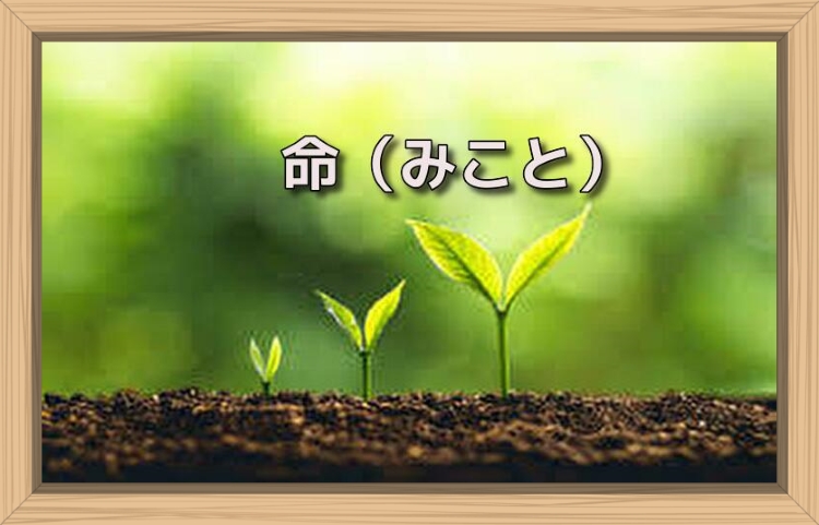 f:id:shiho196123:20190714155451j:plain f:id:shiho196123:20190714155451j:plain