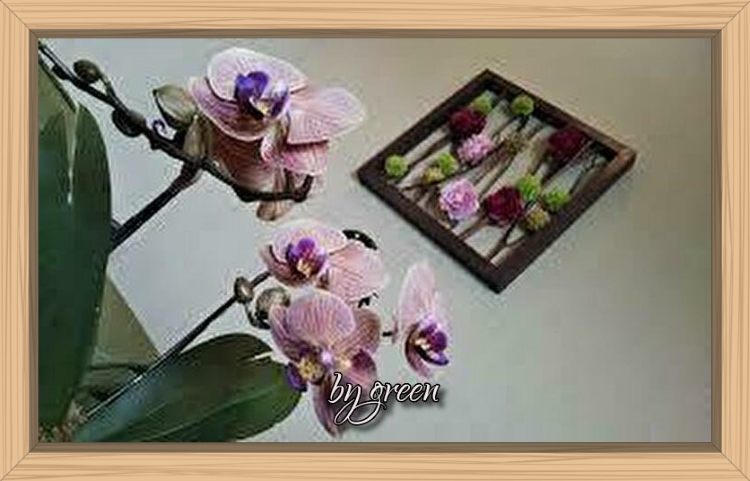 f:id:shiho196123:20190716153913j:plain f:id:shiho196123:20190716153913j:plain