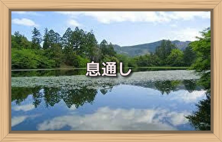 f:id:shiho196123:20190717151433j:plain f:id:shiho196123:20190717151433j:plain