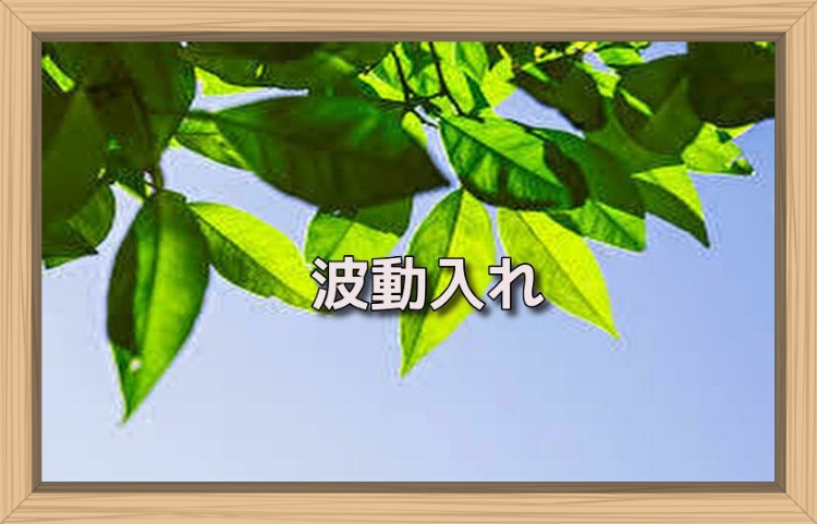 f:id:shiho196123:20190718171211j:plain