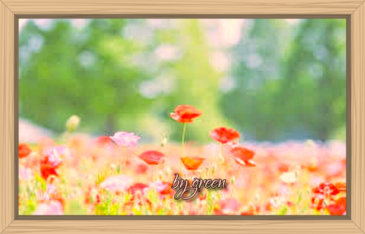 f:id:shiho196123:20190805003258j:plain f:id:shiho196123:20190805003258j:plain