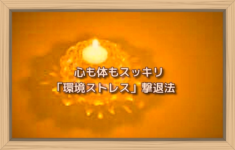 f:id:shiho196123:20190813133209j:plain f:id:shiho196123:20190813133209j:plain