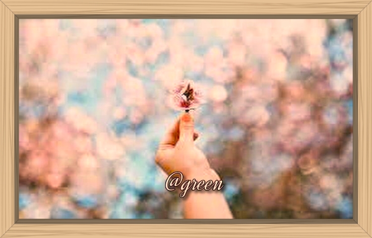 f:id:shiho196123:20190813135831j:plain f:id:shiho196123:20190813135831j:plain