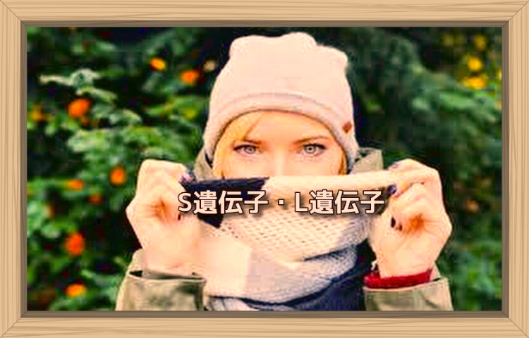 f:id:shiho196123:20190819182510j:plain