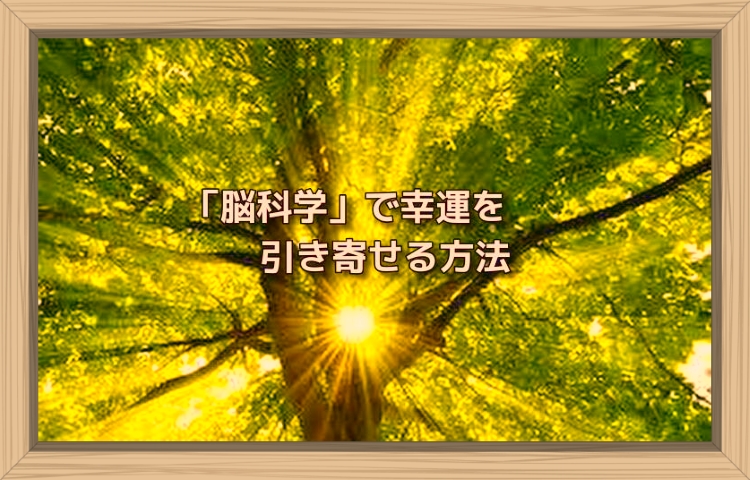 f:id:shiho196123:20190820163414j:plain