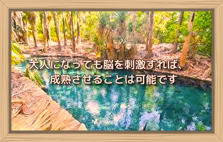 f:id:shiho196123:20190824163007j:plain f:id:shiho196123:20190824163007j:plain