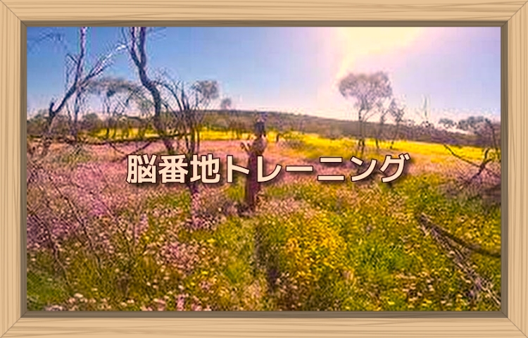 f:id:shiho196123:20190824163903j:plain f:id:shiho196123:20190824163903j:plain