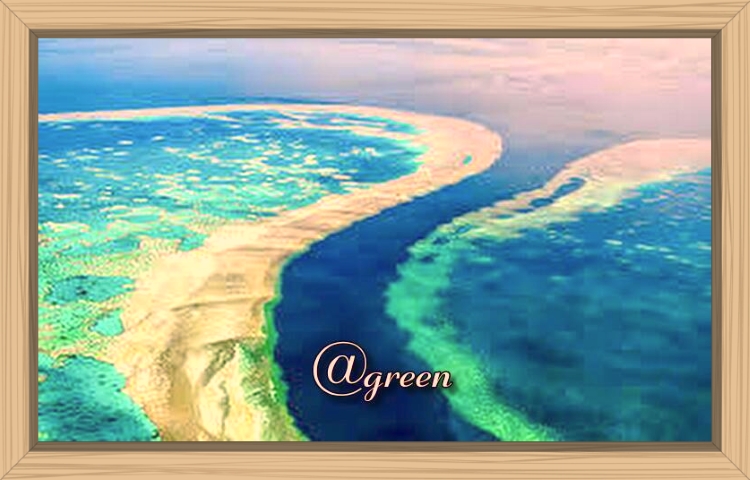 f:id:shiho196123:20190824164958j:plain f:id:shiho196123:20190824164958j:plain