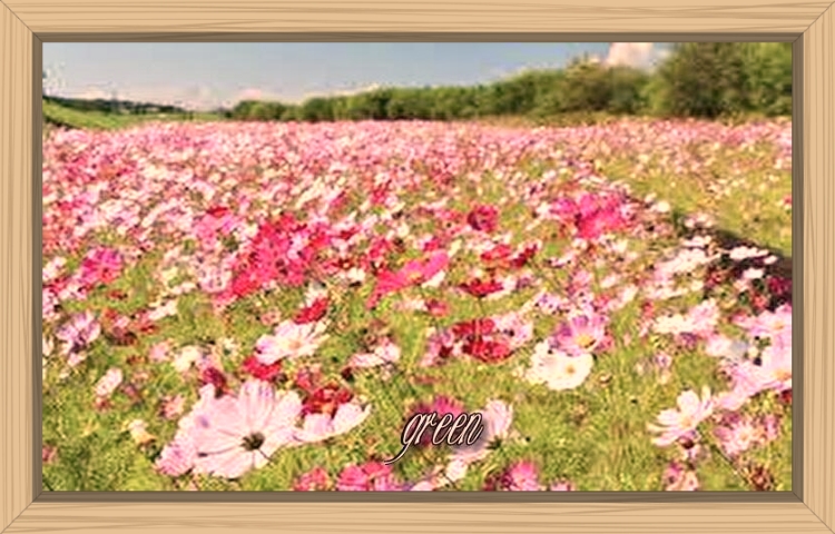 f:id:shiho196123:20190831154058j:plain