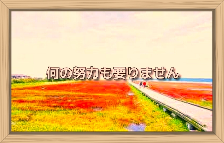 f:id:shiho196123:20190831155923j:plain