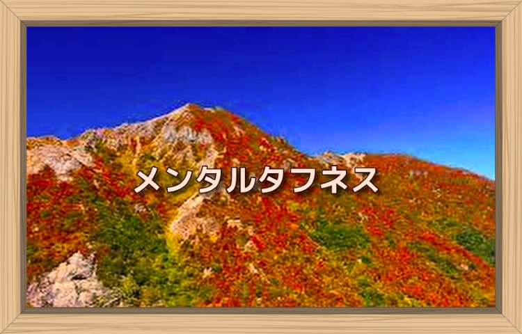 f:id:shiho196123:20190831231042j:plain f:id:shiho196123:20190831231042j:plain