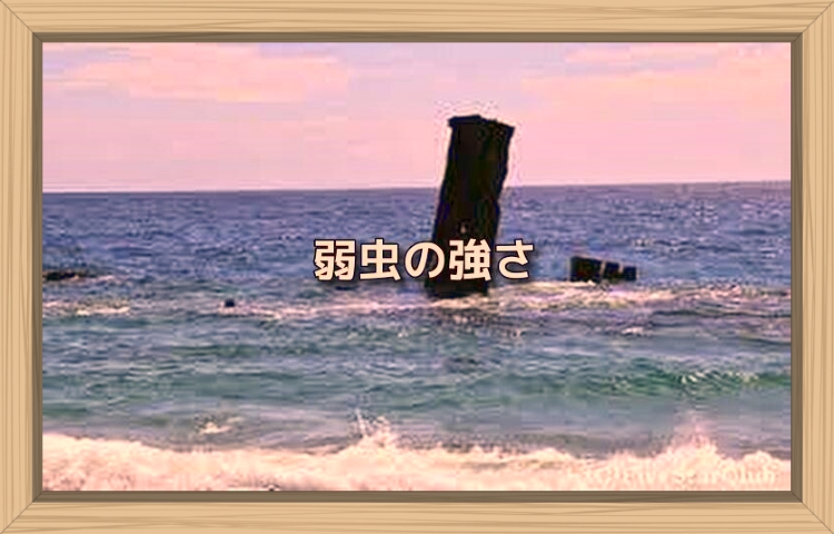 f:id:shiho196123:20190918060409j:plain