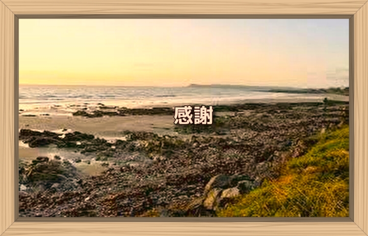 f:id:shiho196123:20190923203824j:plain f:id:shiho196123:20190923203824j:plain