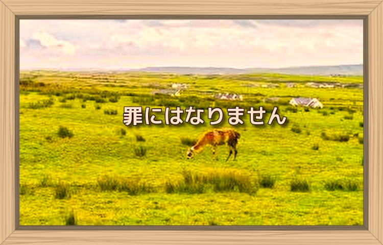 f:id:shiho196123:20190923204149j:plain f:id:shiho196123:20190923204149j:plain