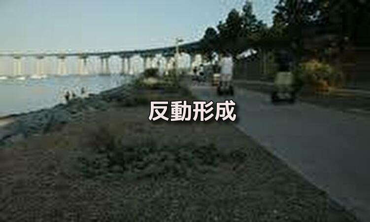 f:id:shiho196123:20190924233207j:plain f:id:shiho196123:20190924233207j:plain