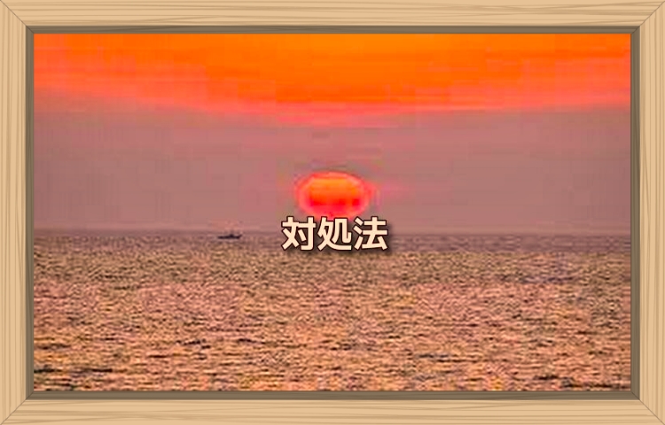 f:id:shiho196123:20190924233507j:plain f:id:shiho196123:20190924233507j:plain