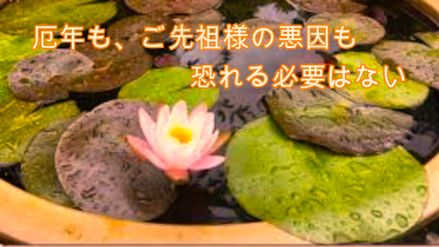 f:id:shiho196123:20210304215543p:plain