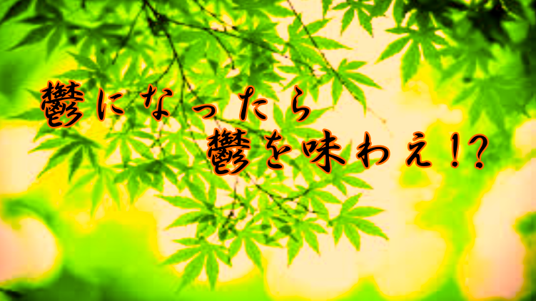 f:id:shiho196123:20210325142452p:plain