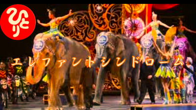 f:id:shiho196123:20210406174416p:plain