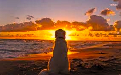 f:id:shiho196123:20210616215600j:plain