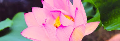 f:id:shiho196123:20211111123245j:plain