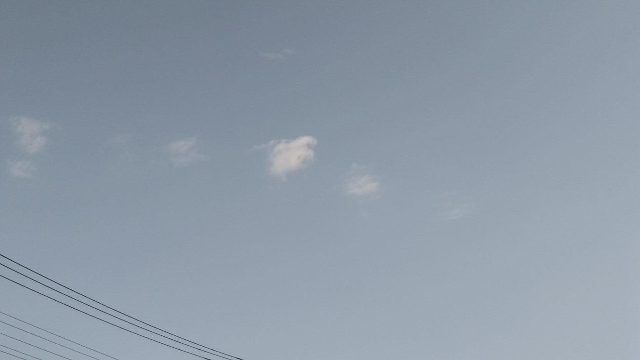 f:id:shiho2020:20190825080550j:image