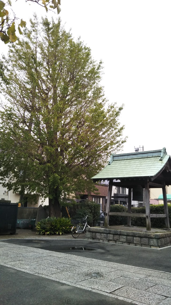 f:id:shiho2020:20191020094236j:image