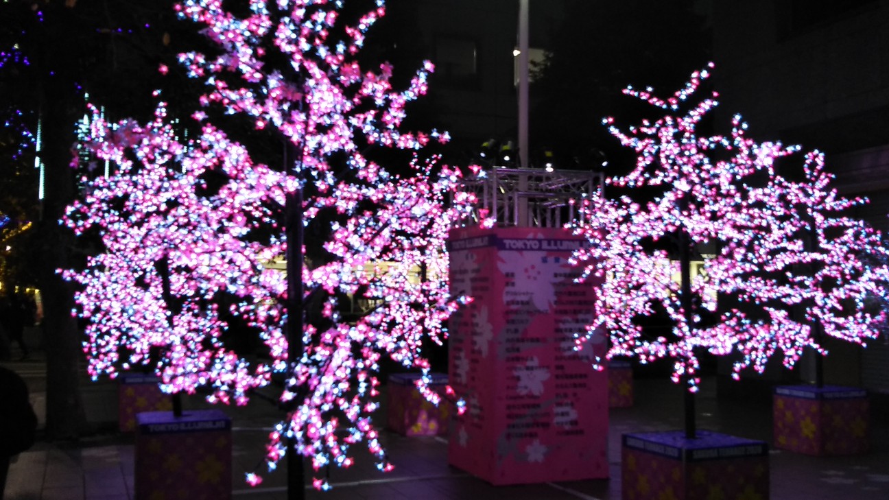 f:id:shiho2020:20191210211724j:image f:id:shiho2020:20191210211724j:image