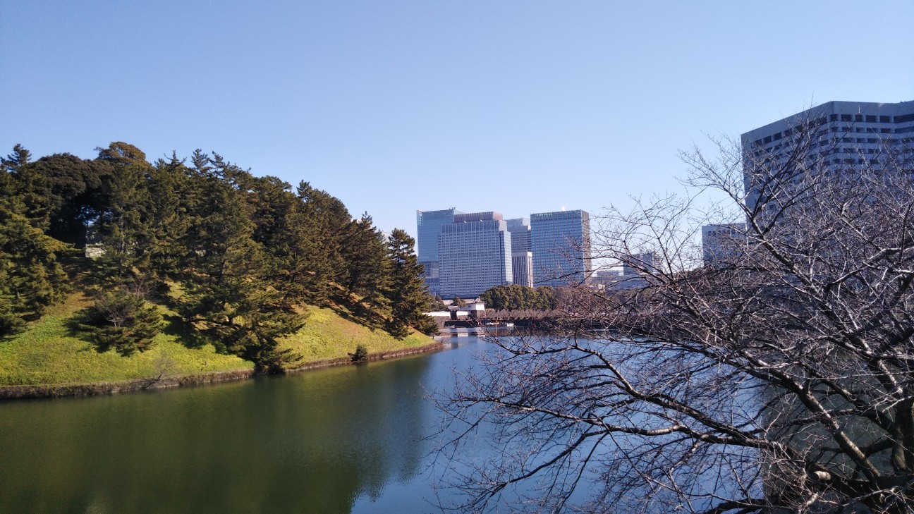 f:id:shiho2020:20200120112804j:image