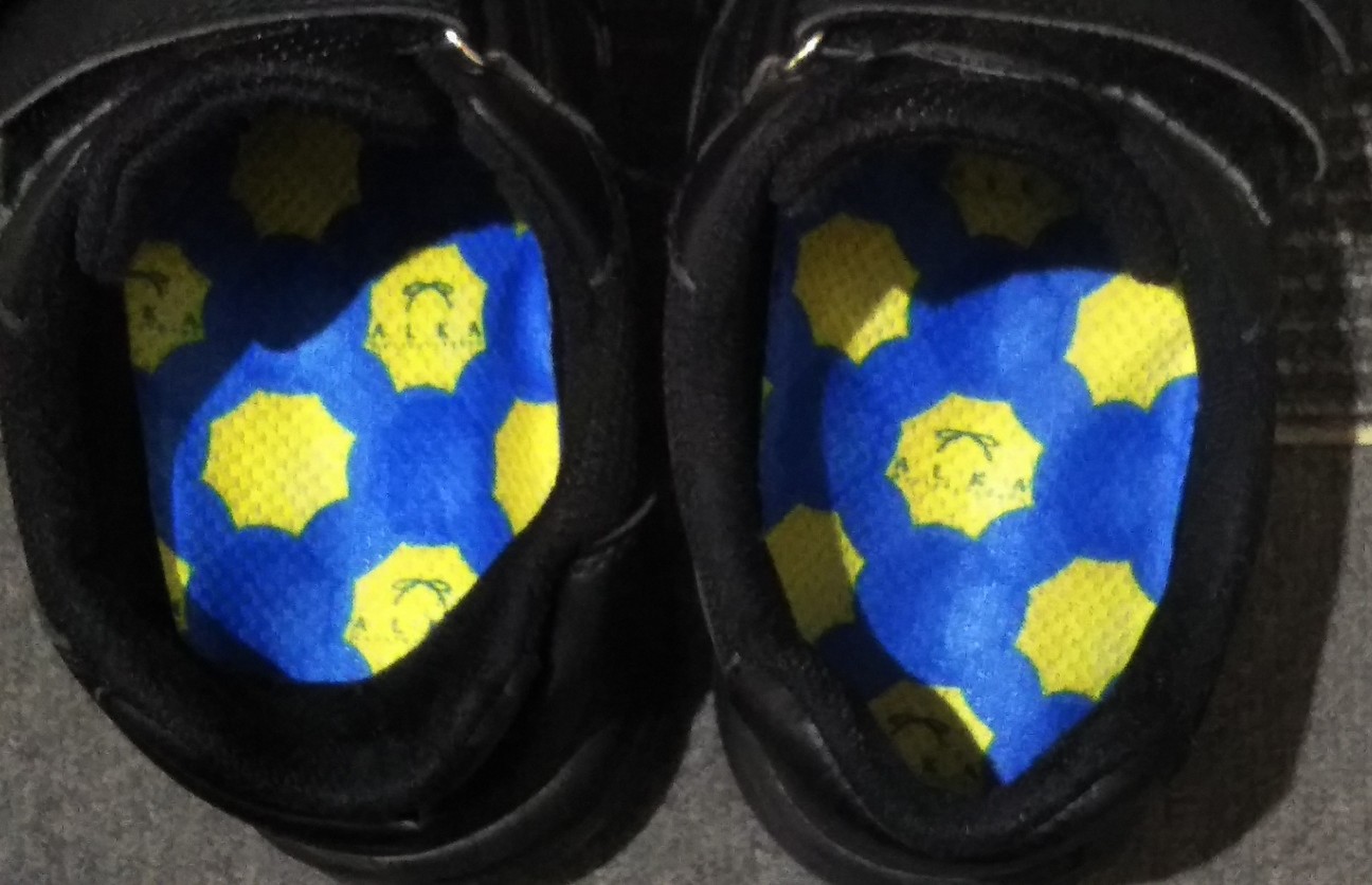 f:id:shiho2020:20200307160506j:image