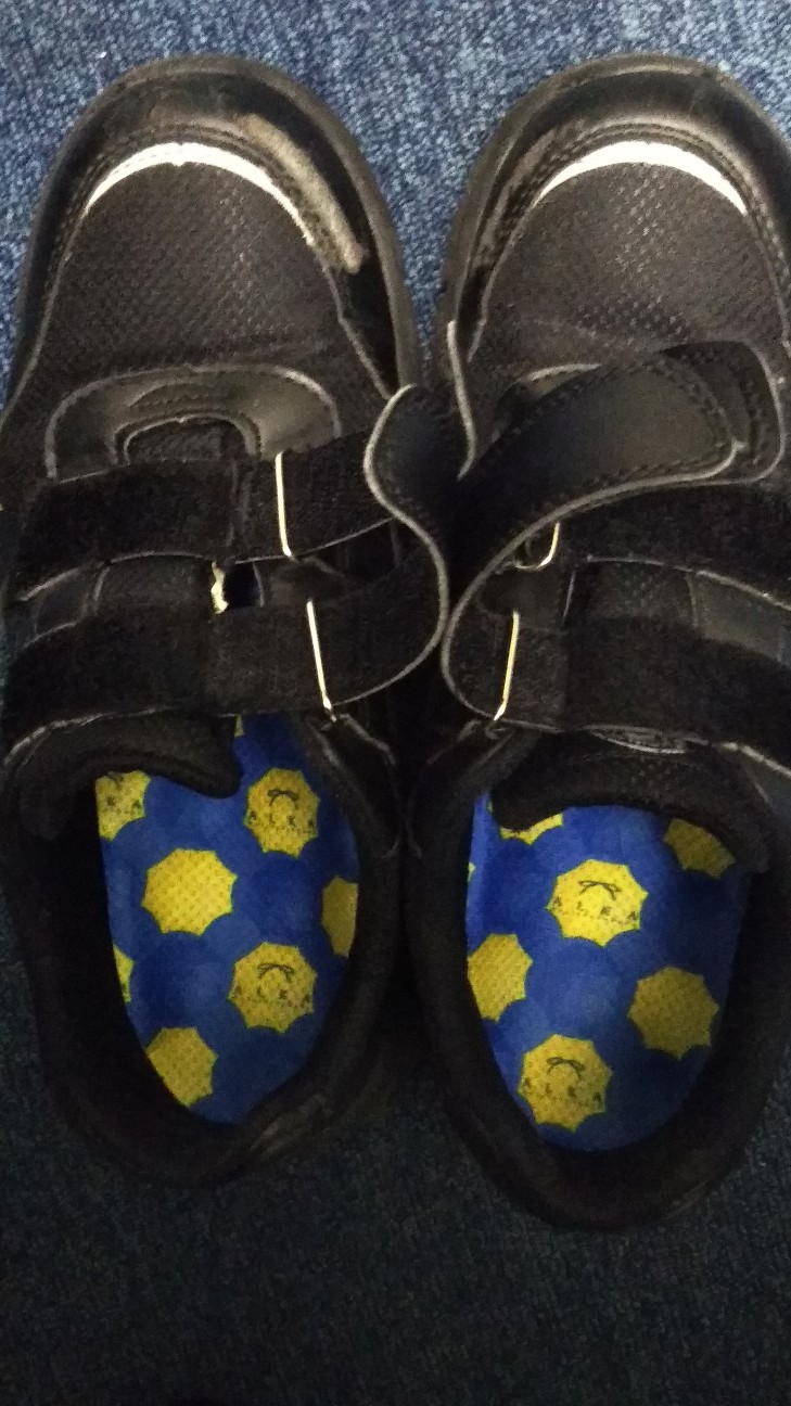 f:id:shiho2020:20200307160740j:image