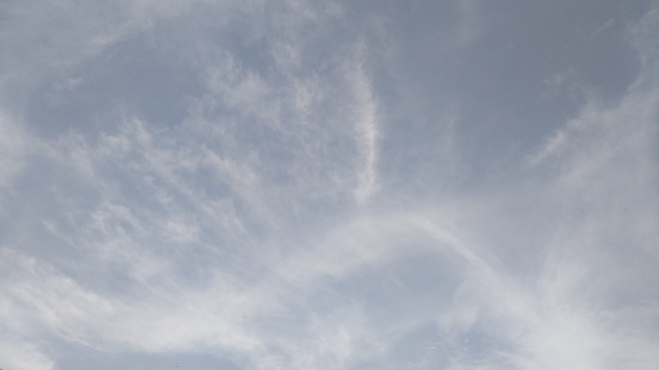 f:id:shiho2020:20200527184734j:image