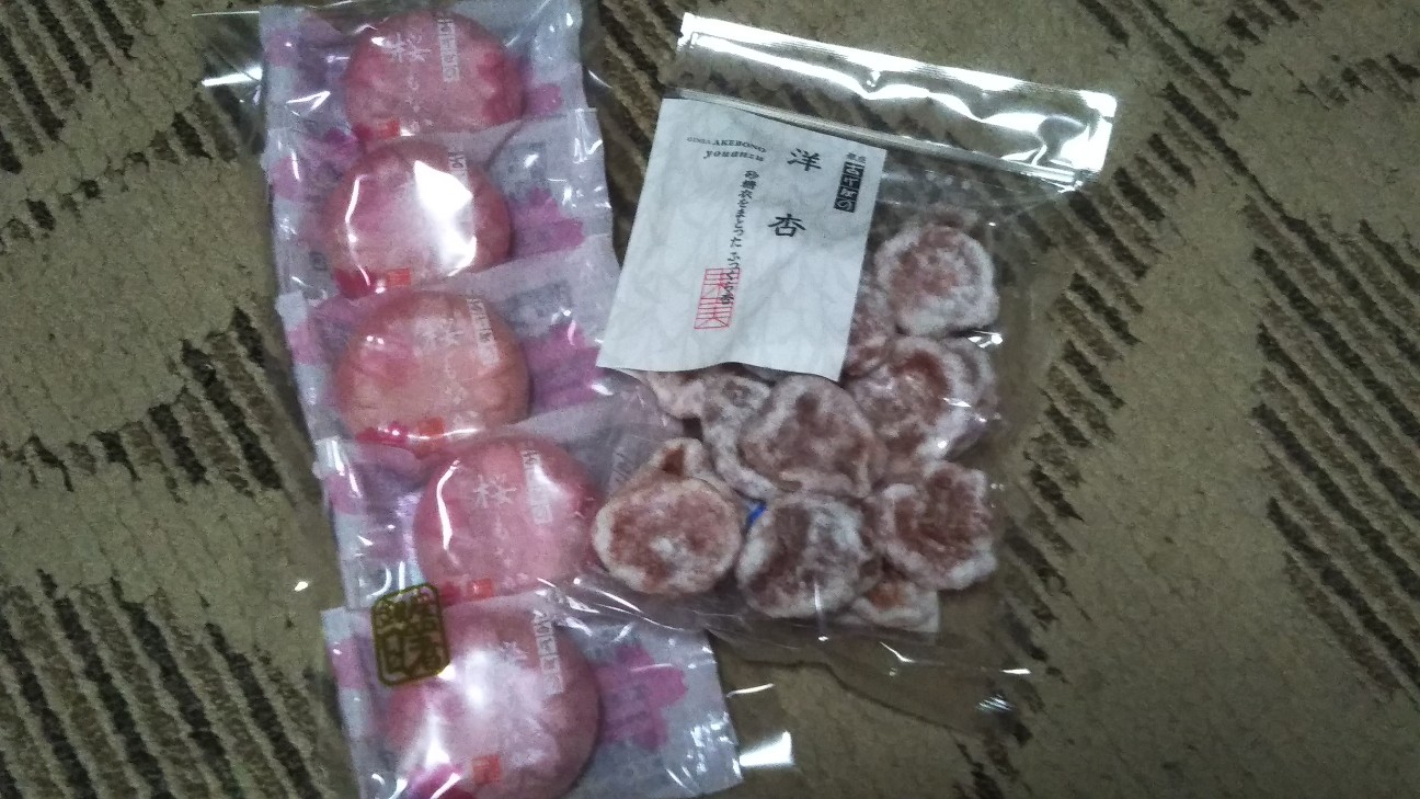 f:id:shiho2020:20200529065622j:image