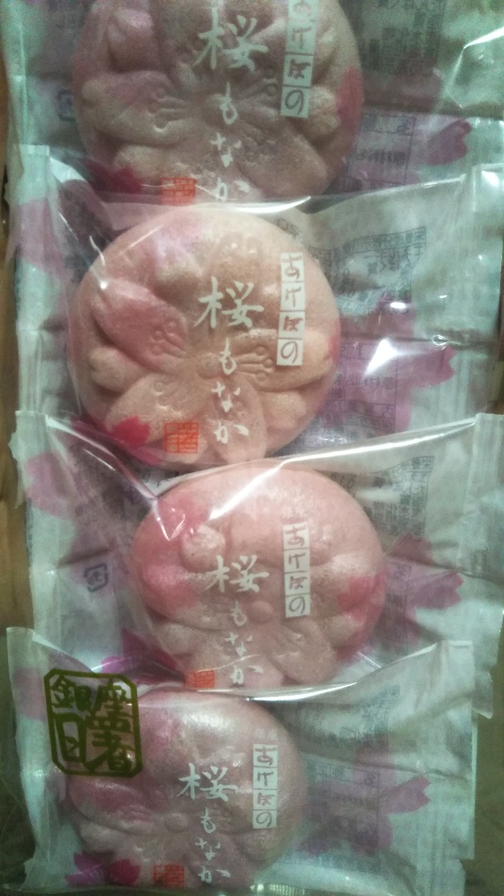 f:id:shiho2020:20200529070500j:image