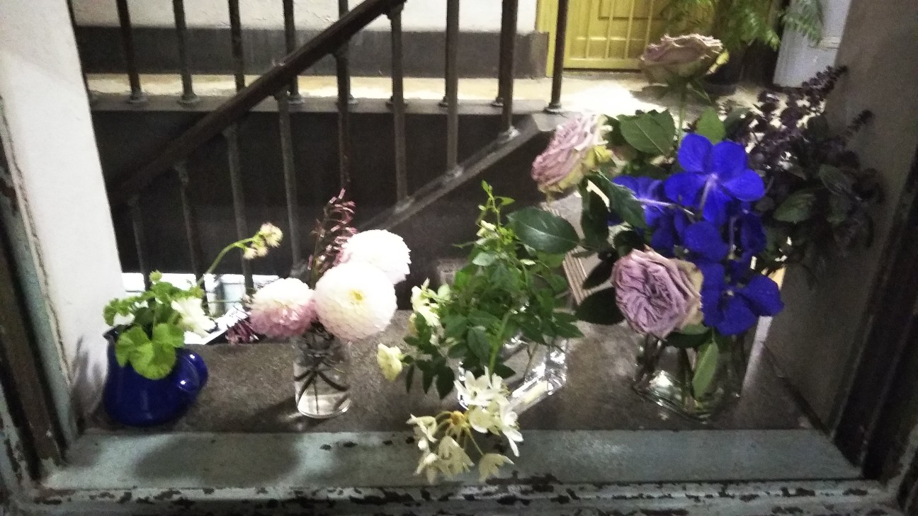 f:id:shiho2020:20200531045006j:image