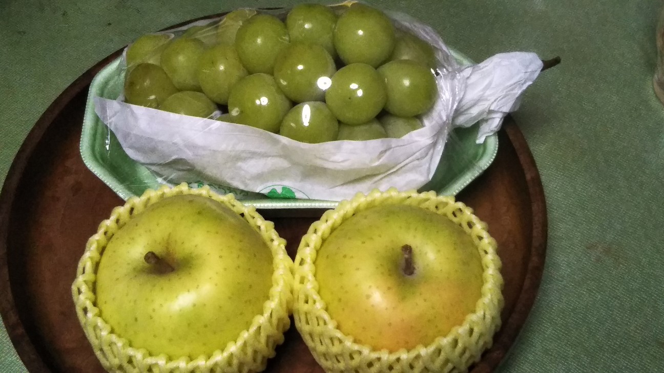 f:id:shiho2020:20201010013537j:image