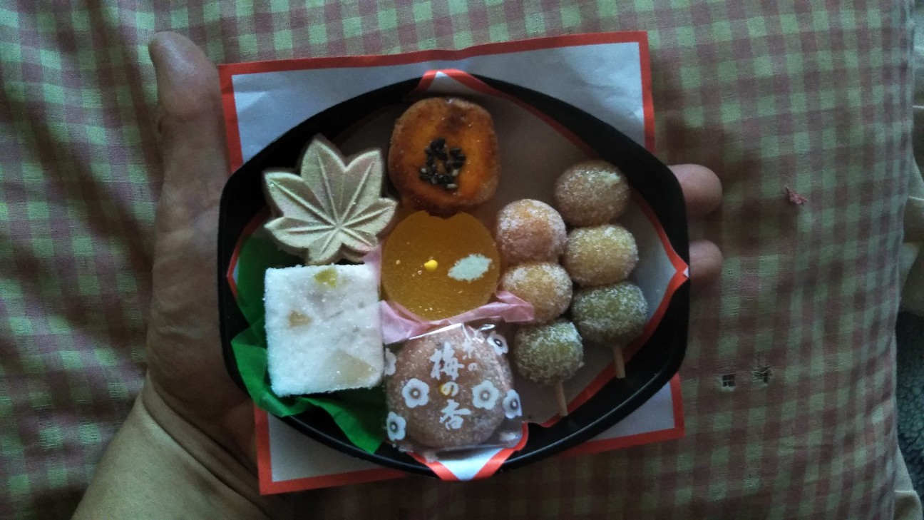 f:id:shiho2020:20201101073639j:image