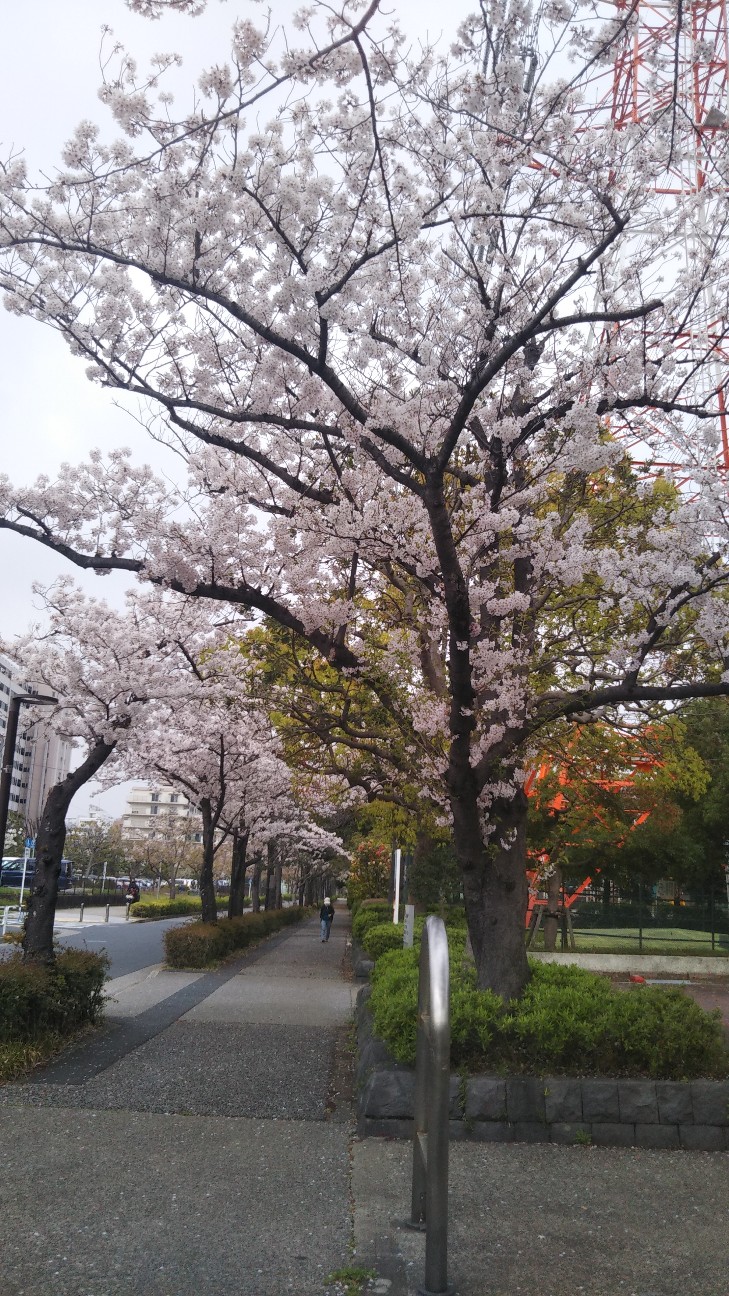 f:id:shiho2020:20210402164320j:image