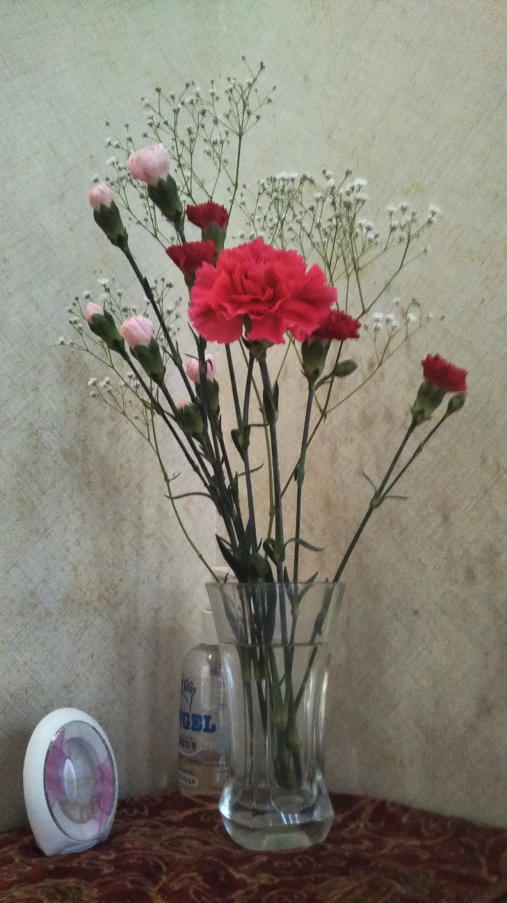 f:id:shiho2020:20210509123142j:image