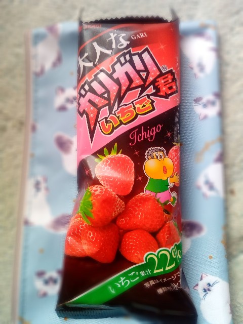 f:id:shiho2020:20210711081326j:image