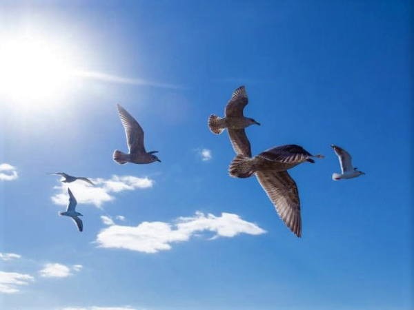 f:id:shiho2020:20210727064333j:image