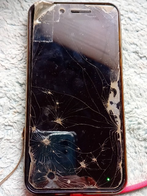 f:id:shiho2020:20210816180138j:image