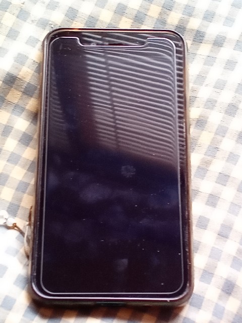 f:id:shiho2020:20210816180152j:image