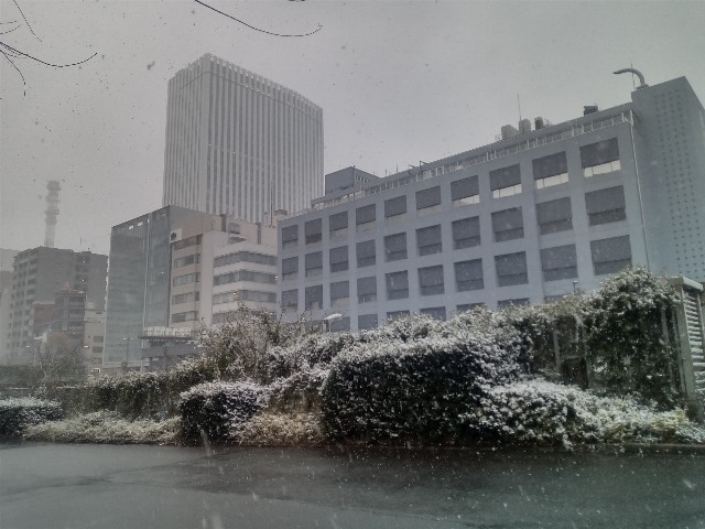 f:id:shiho2020:20220106205945j:image