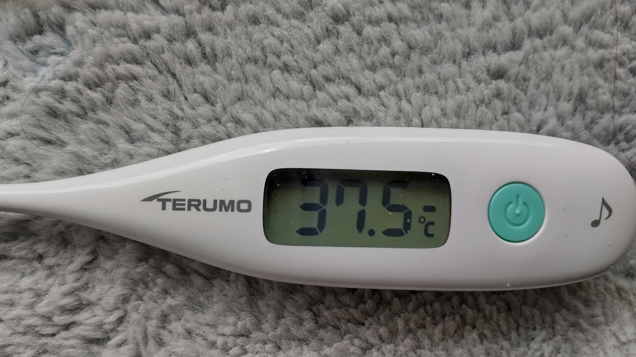 f:id:shiho2020:20220204125425j:image