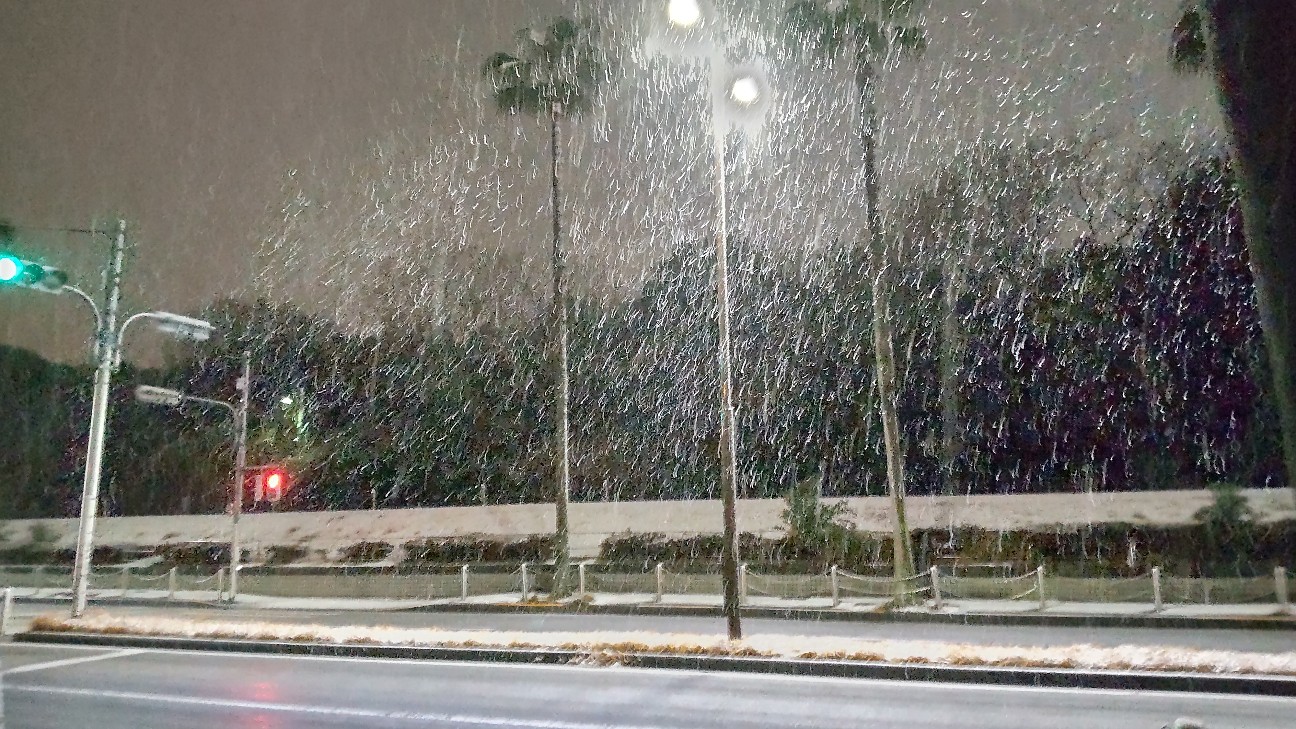 f:id:shiho2020:20220211130848j:image