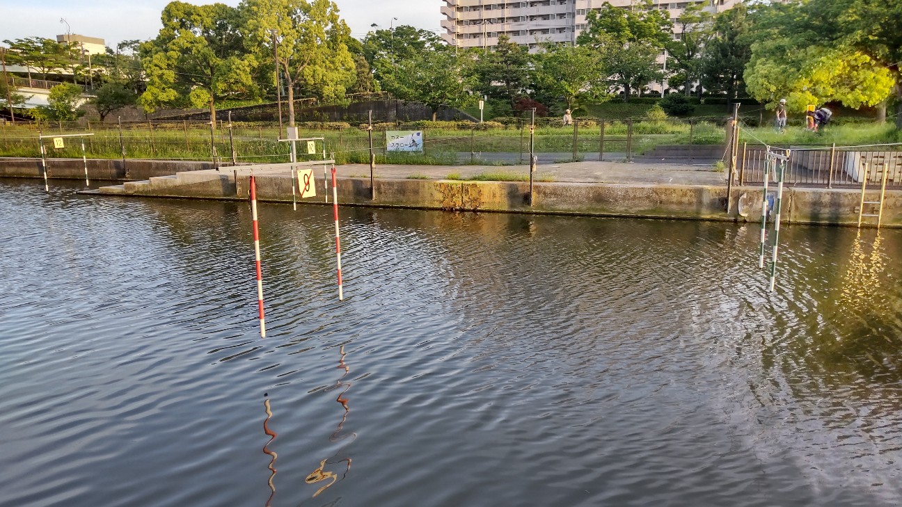 f:id:shiho2020:20220511184538j:image